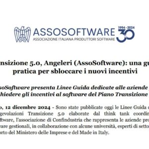 linee guida assosoftware